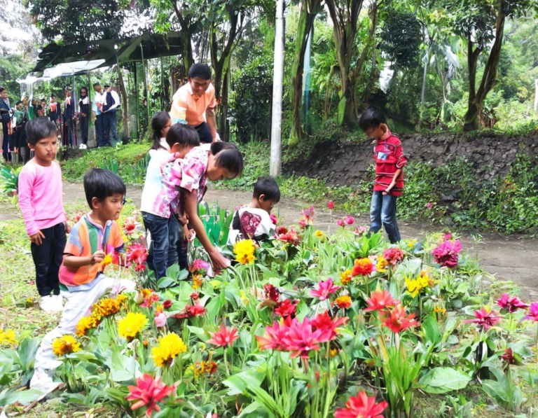 Aktivitas Menarik di Taman Bunga Nusantara Ciwidey untuk Anak-anak