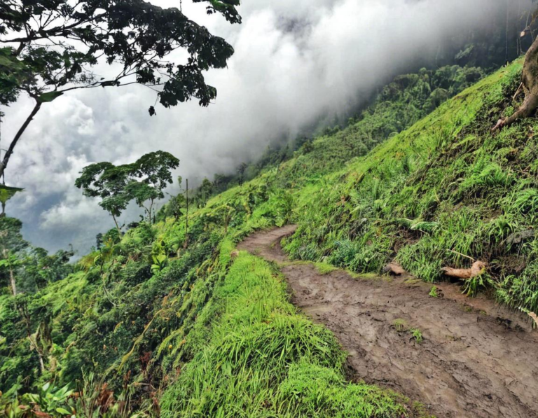 Jalur Pendakian Gunung Patuha Ciwidey untuk Pemula: Tips dan Rute