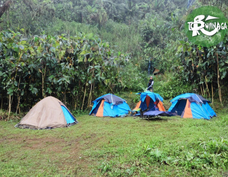 Pengalaman Camping di Ranca Upas Ciwidey dengan Tenda Pribadi