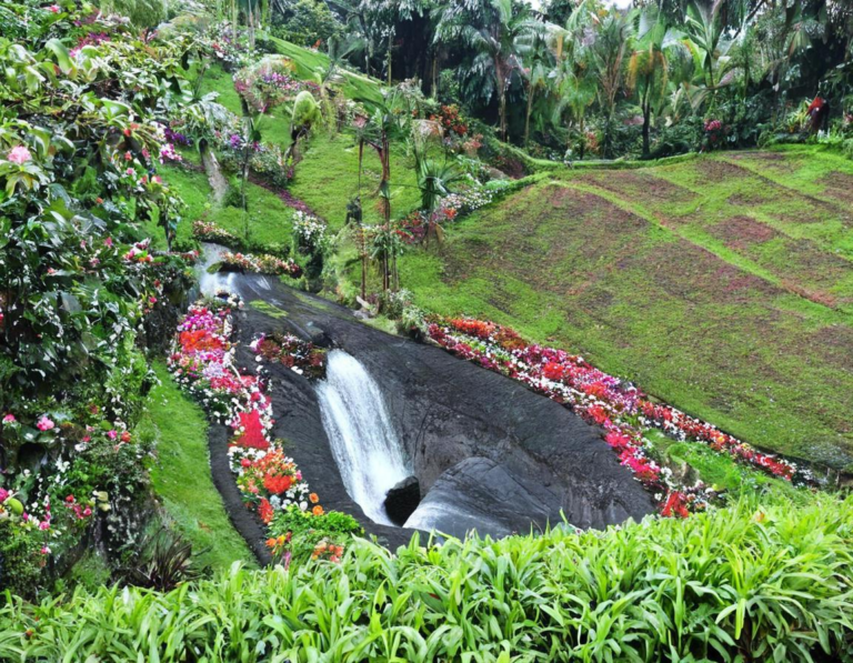 Spot Foto Menarik di Taman Bunga Nusantara Ciwidey