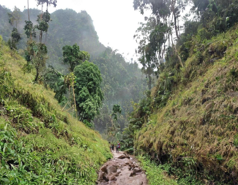 Trekking Aman ke Curug Cilember Ciwidey: Rute dan Tips