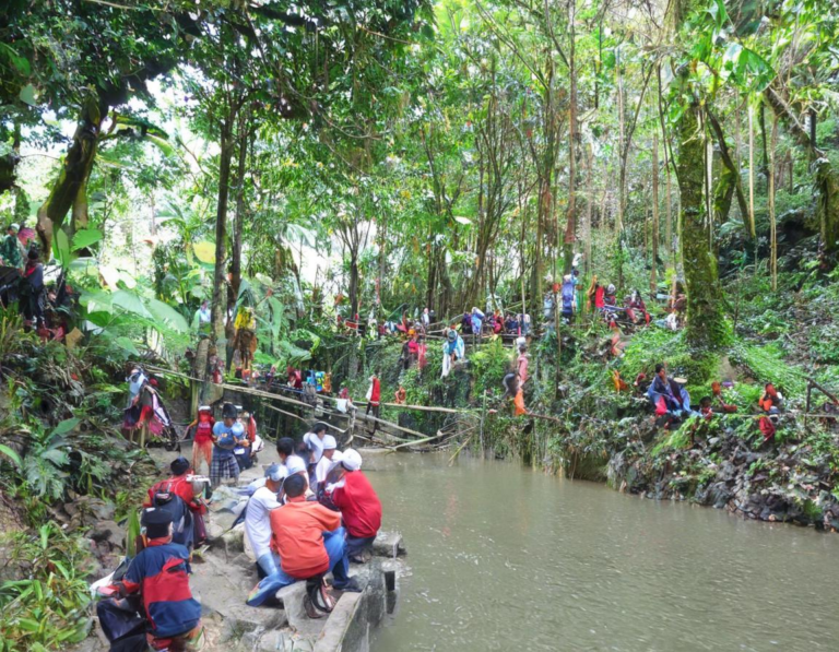 Wisata Alam Ranca Upas Ciwidey: Liburan Seru untuk Keluarga